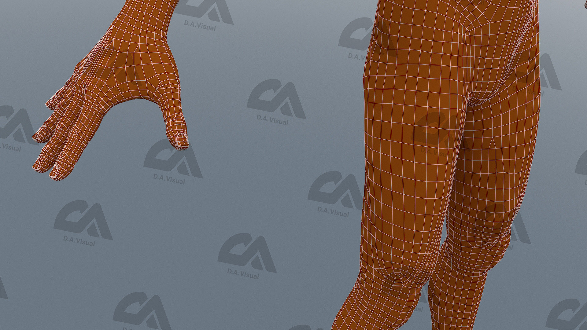 V-Ray_Hand_Legs