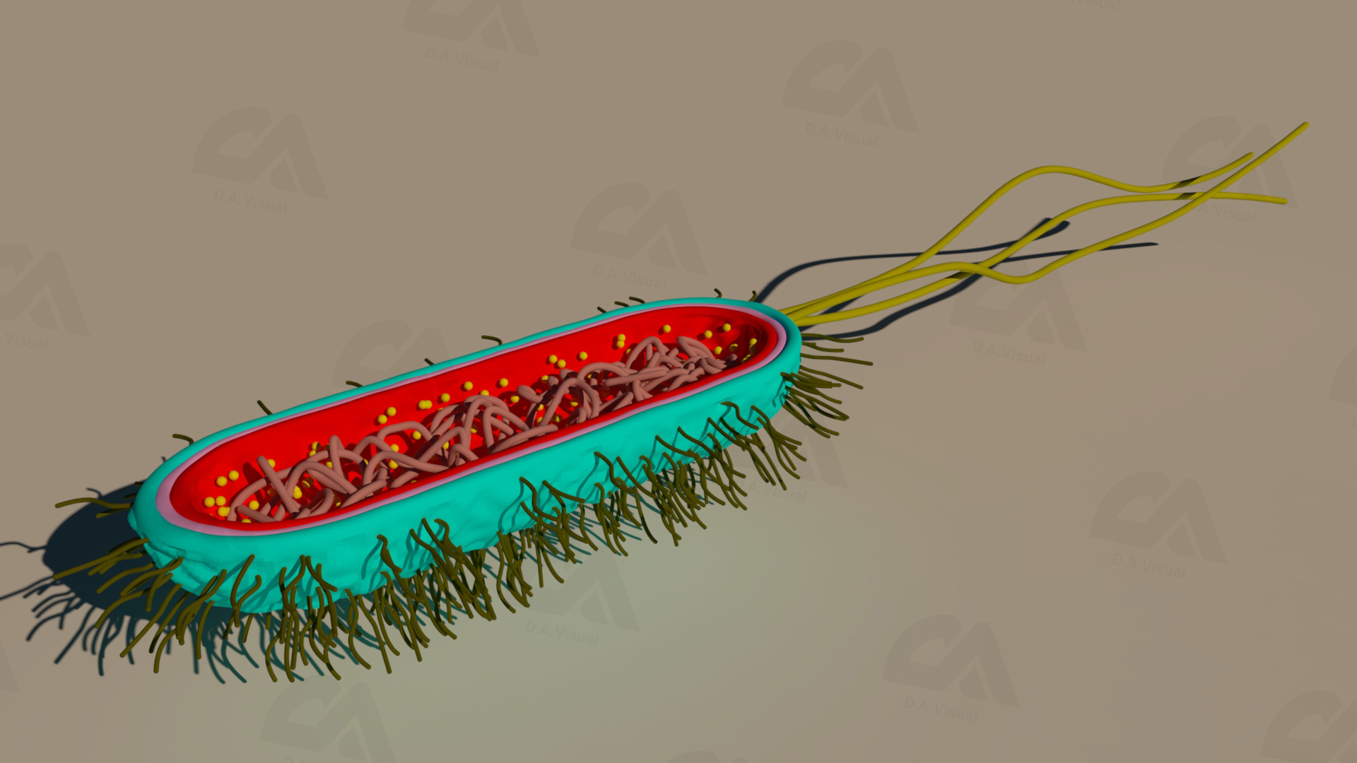 3D_Bacteria_Sun_render_DA