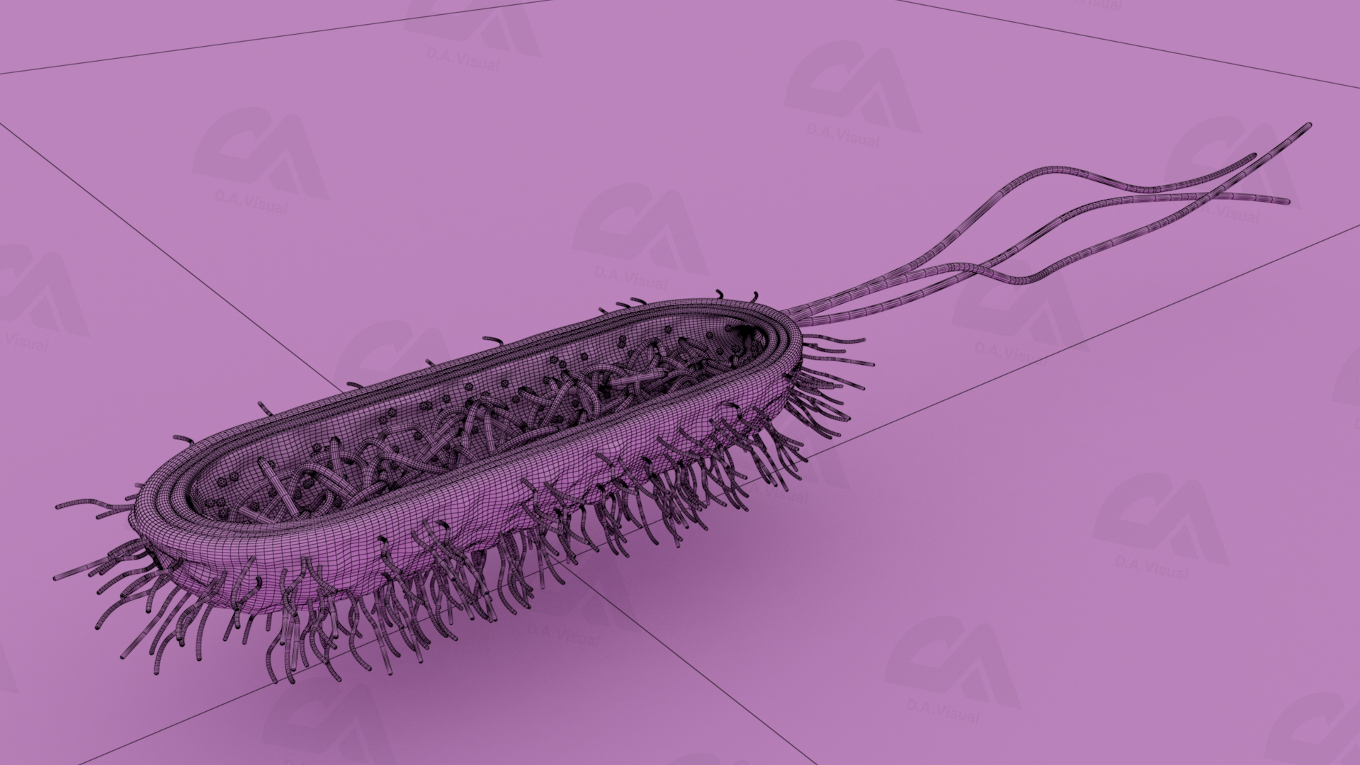 3D_Bacteria_Wire_render_DA